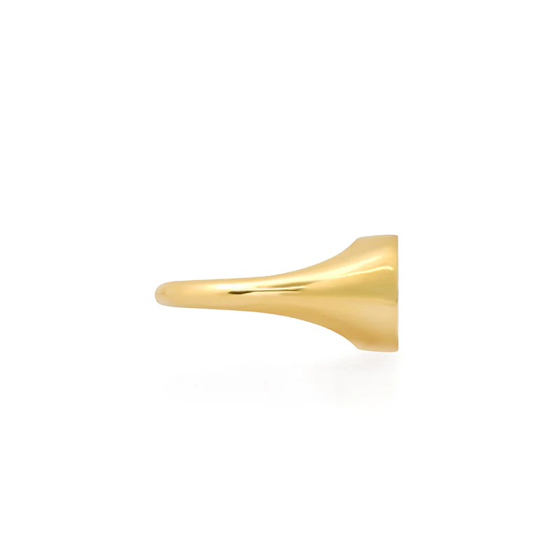 Small Good Luck & Clover Sentiment Signet Ring - Image 3